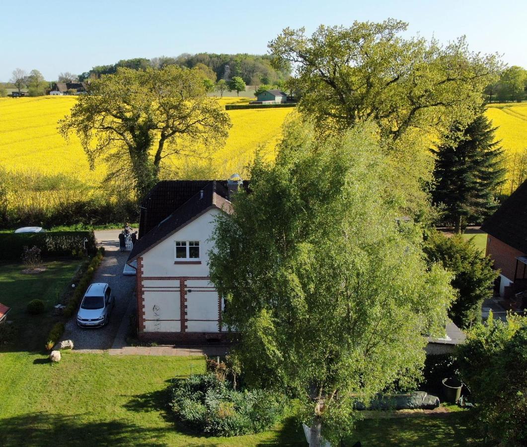 Landhaus Oscar Westerholz Exteriör bild
